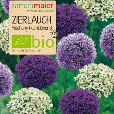 samen-maier-bio-zierlauch-mischung-hochbl-hend-blumenzwiebeln image 2