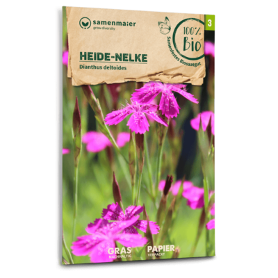 samen-maier-bio-wildblumen-heide-nelke-blumensamen-rosa image 3