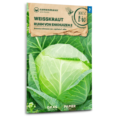 samen-maier-bio-wei-kraut-ruhm-von-enkhuizen-2-krautsamen image 3