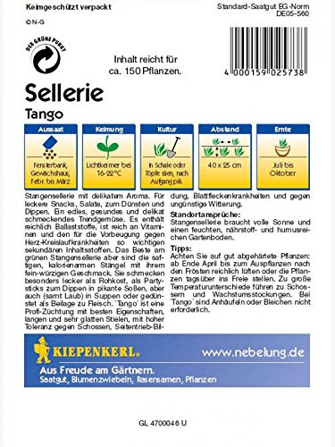 kiepenkerl-stangensellerie-tango-gem-sesaatgut image 2