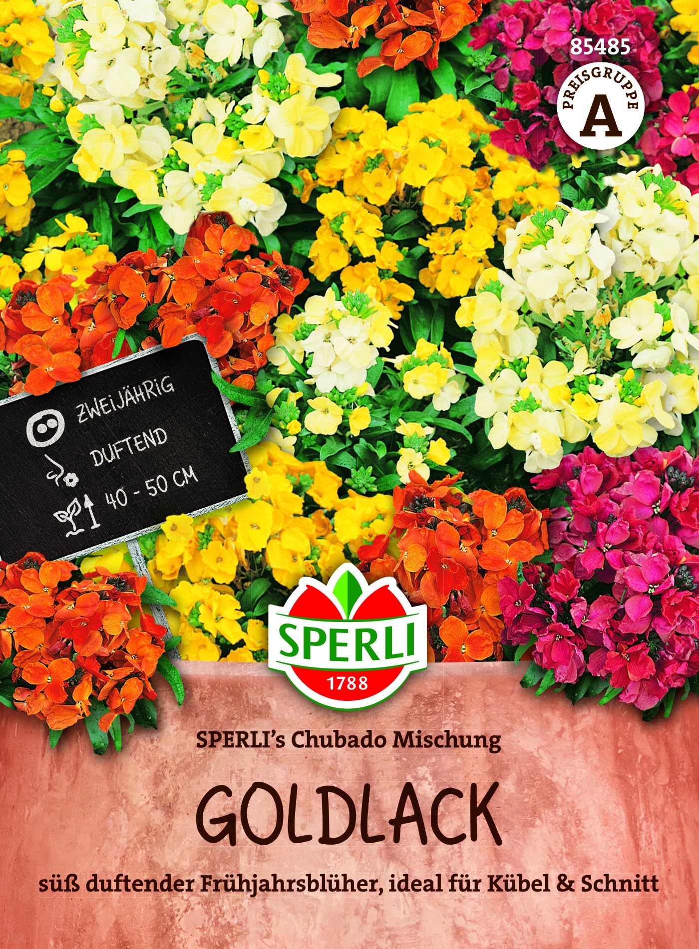 sperli-g-nsebl-mchensamen-prachtmischung-85381-blumensaat image 7