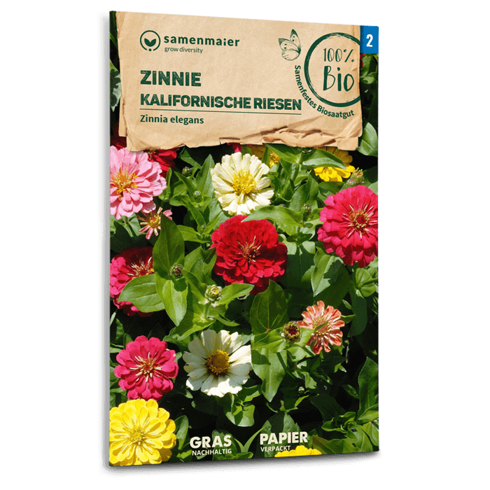 samen-maier-bio-zinnie-kalifornische-riesen-blumensaatgut image 1