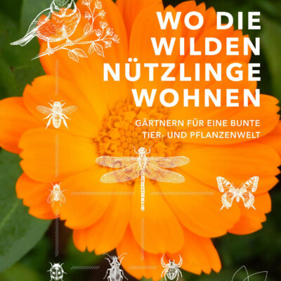 samen-maier-wo-die-wilden-n-tzlinge-wohnen-saatgut-set image 2