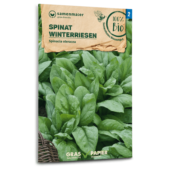 samen-maier-beet-box-wintergem-se-saatgut-set-mit-5-sorten image 2