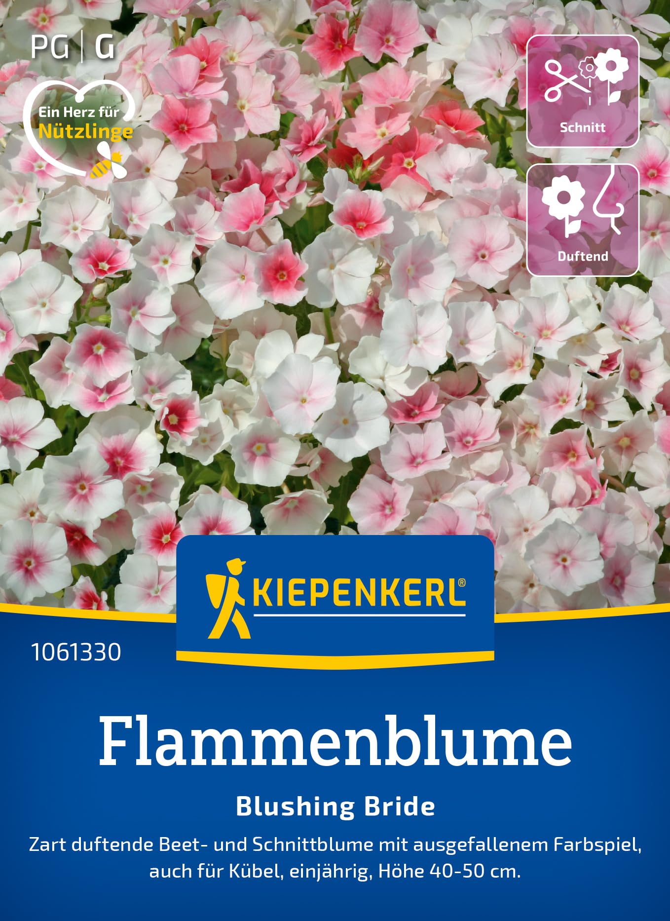 kiepenkerl-liebeshainblume-blaue-nemophila-1063040-sommerblumensaat image 6