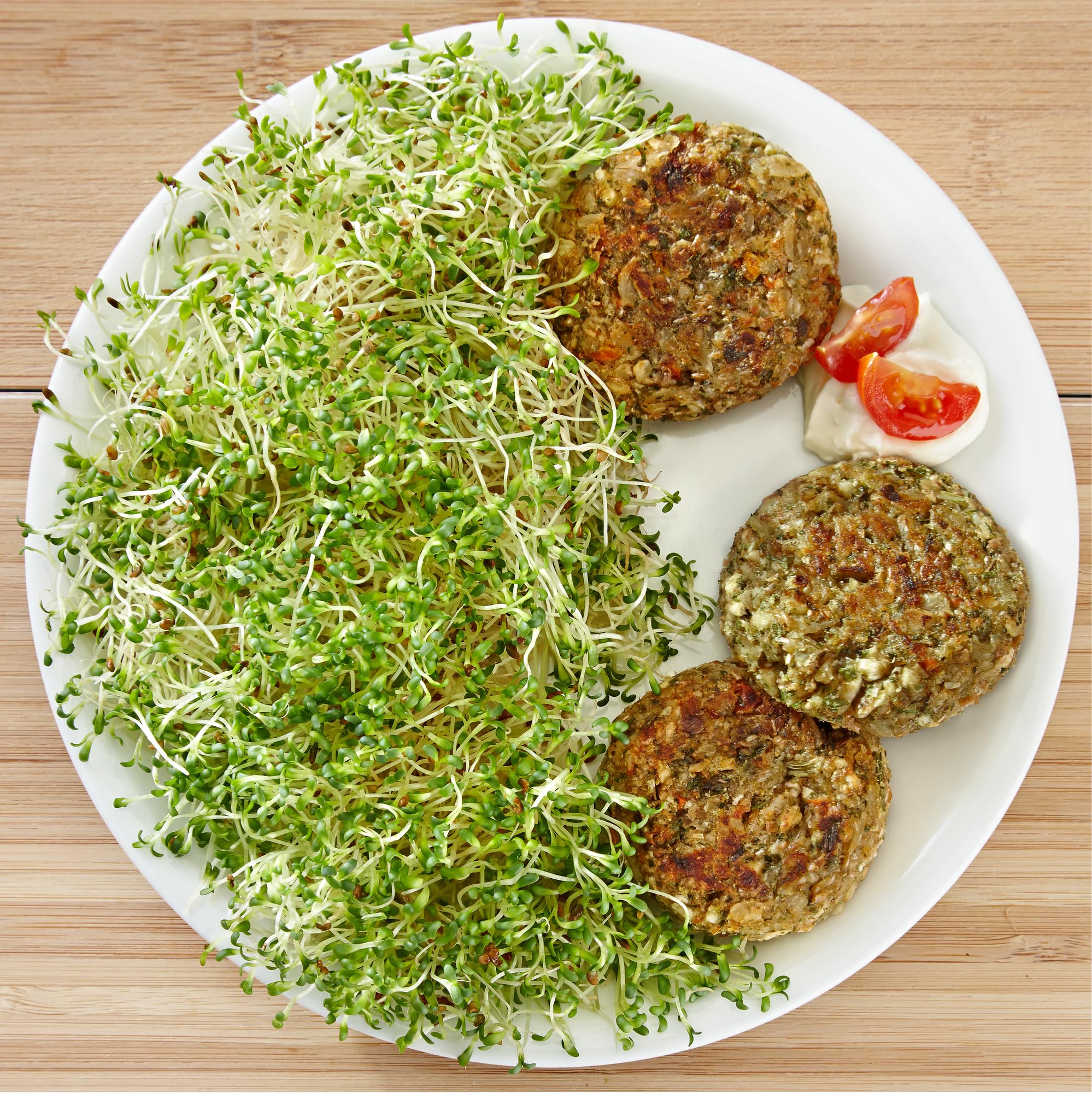 sperli-keimsprossen-saat-alfalfa-84920-keimsprossensaat-bio image 3