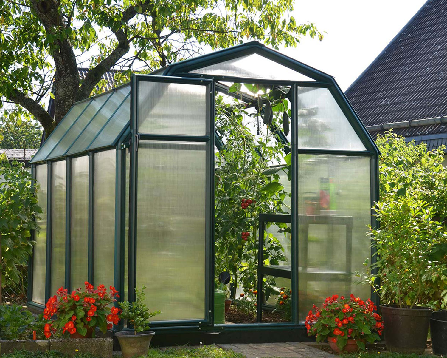 palram-canopia-eco-grow-gew-chshaus-5-4-m image 2