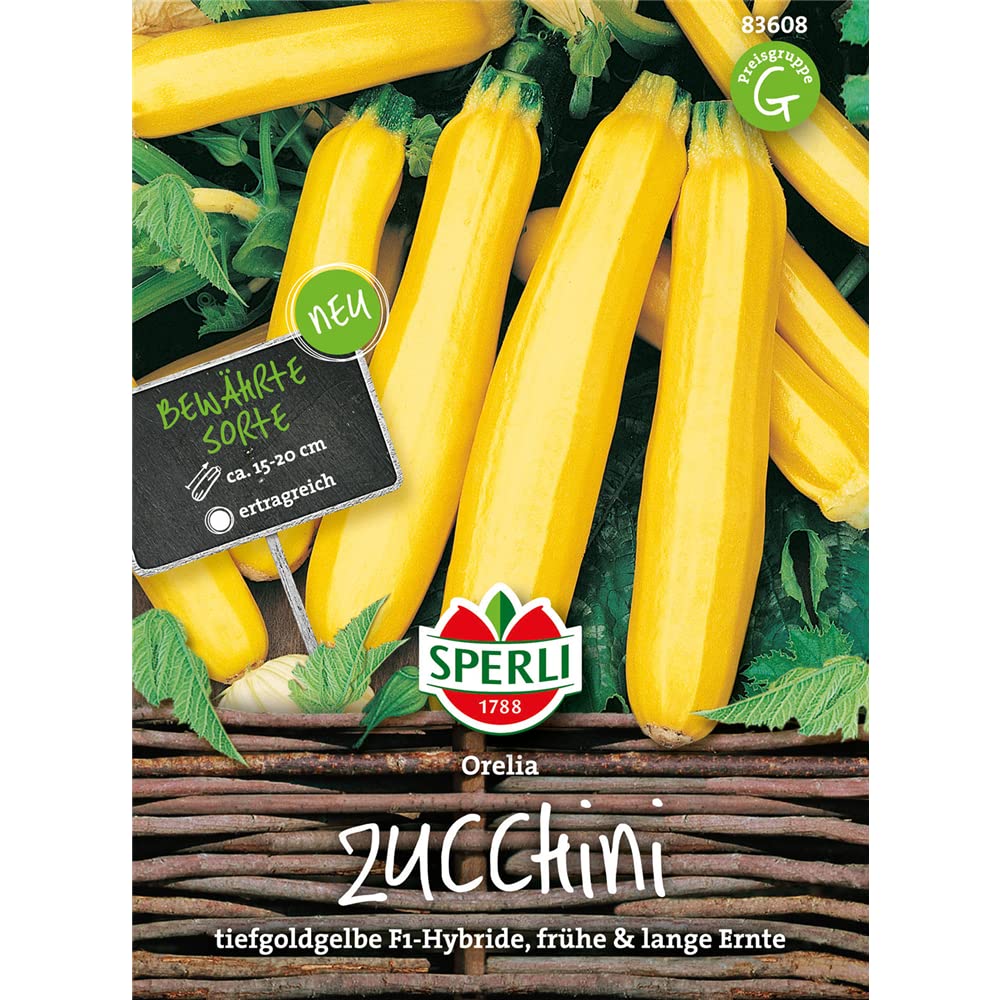 sperli-flower-sprouts-autumn-star-f1-rosenkohlsamen-81180 image 7