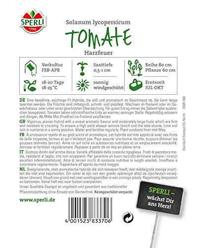 sperli-premium-tomate-harzfeuer-s-aromatische-freiland-tomaten-samen image 7