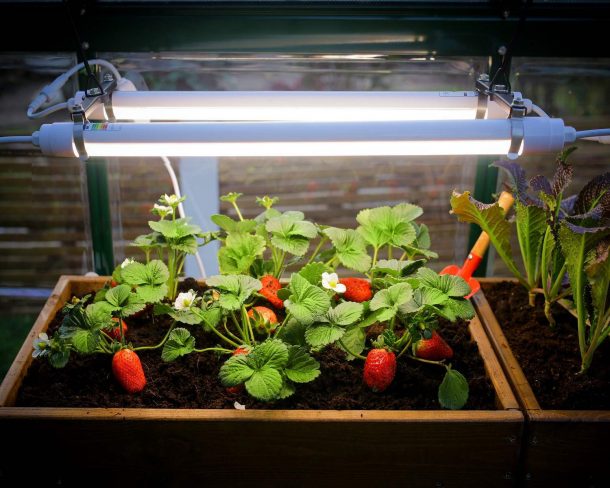 palram-canopia-brighton-led-grow-light-vollspektrum image 4
