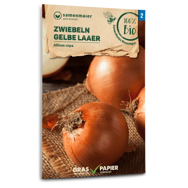 samen-maier-bio-zwiebeln-gelbe-laaer-zwiebelsamen image 1