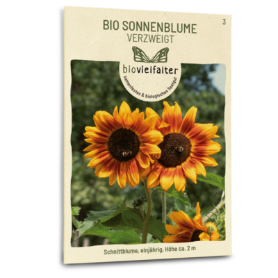 samen-maier-bio-sonnenblume-verzweigt-blumensamen image 3
