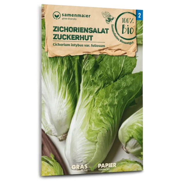samen-maier-bio-zichoriensalat-zuckerhut-bio-saatgut image 1