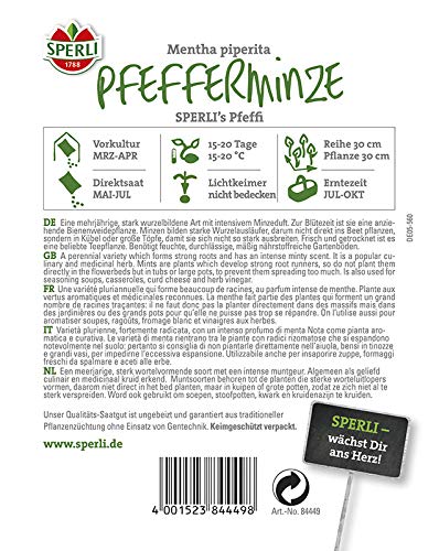 sperli-premium-pfefferminze-sperlis-pfeffi-84449-mehrj-hrige-minze-kr-utersamen image 3