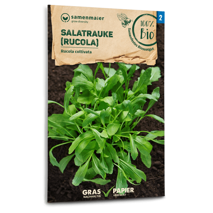 samen-maier-bio-salatrauke-rucola-kr-utersaatgut image 1