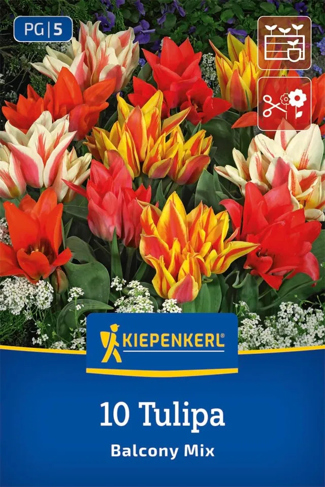 kiepenkerl-greigii-tulpen-balkonzauber-mix-2000017-blumenzwiebeln-20-30-cm-mehrb image 1