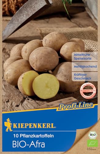 kiepenkerl-bio-pflanzkartoffel-afra-10-st-ck-bio-saatgut image 4