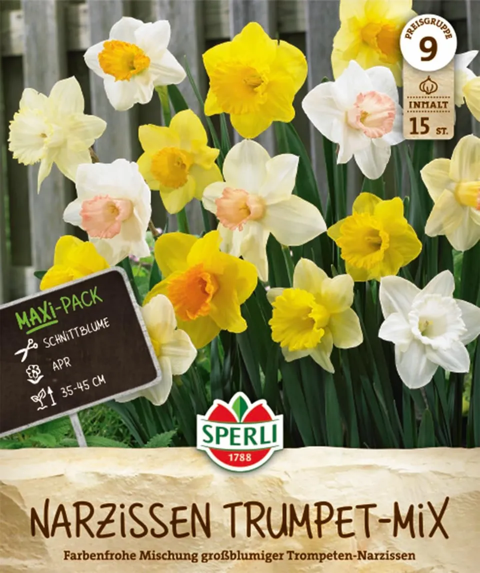 sperli-maxi-trompeten-narzissen-mischung-462418-blumenzwiebeln image 1