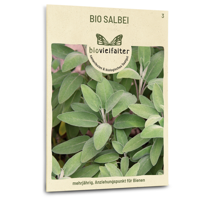samen-maier-bio-salbei-kr-utersamen image 1