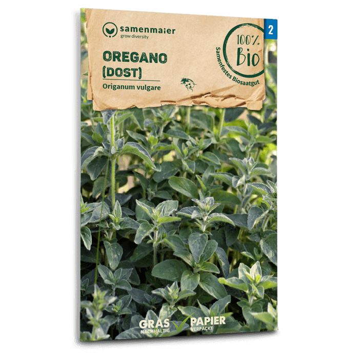 samen-maier-bio-oregano-dost-kr-utersamen-40-60-cm image 1