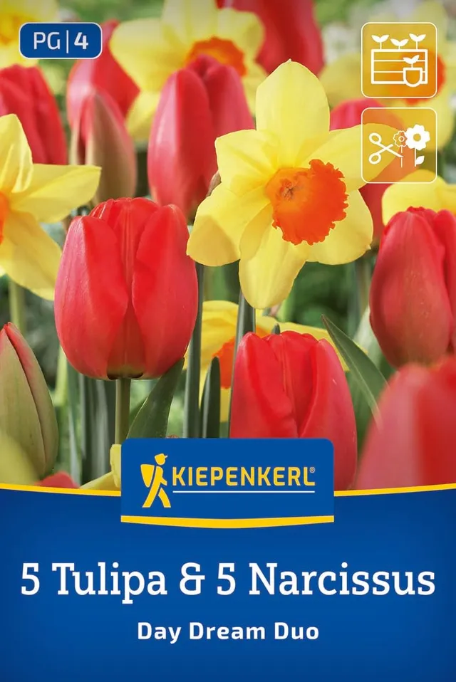 kiepenkerl-profi-line-day-dream-duo-tulpen-narzissen-mischung-blumenzwiebeln-35- image 1