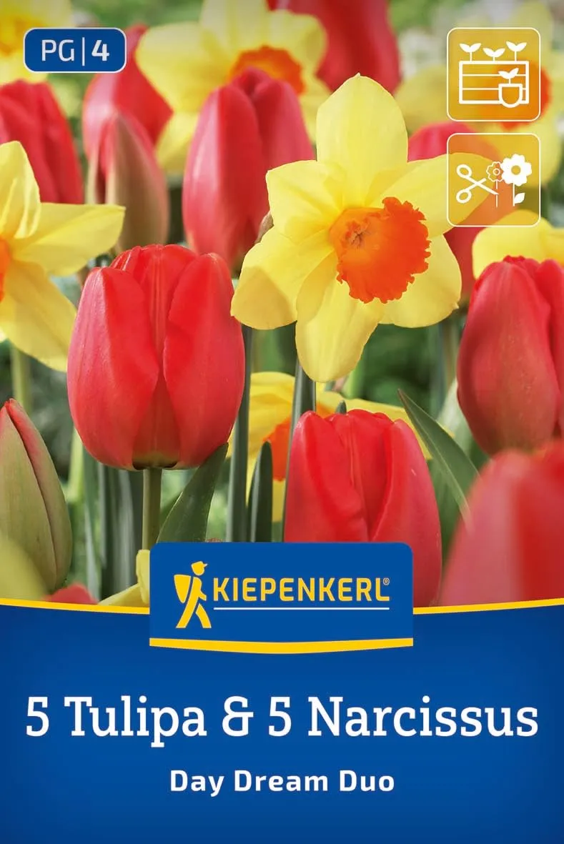 kiepenkerl-profi-line-day-dream-duo-tulpen-narzissen-mischung-blumenzwiebeln-35- image 1