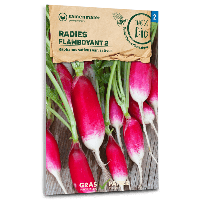 samen-maier-bio-radieschen-flamboyant-2-l-nglich-rot-wei image 1