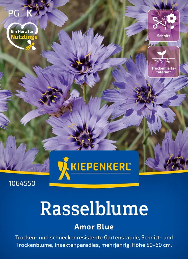 kiepenkerl-rasselblumensamen-amor-blue-blumensaat image 1