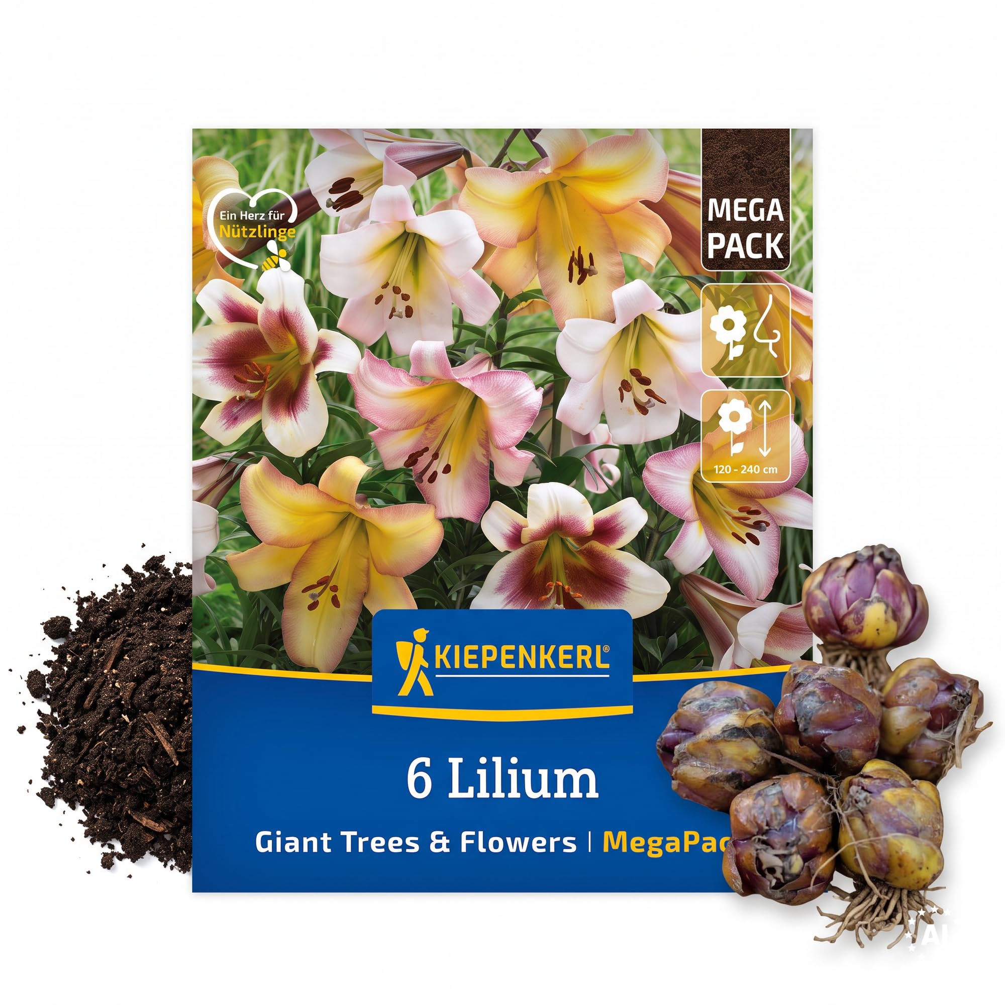 kiepenkerl-baumlilien-giant-tree-flowers-mega-pack-duftende-riesen-lilien-150-20 image 1