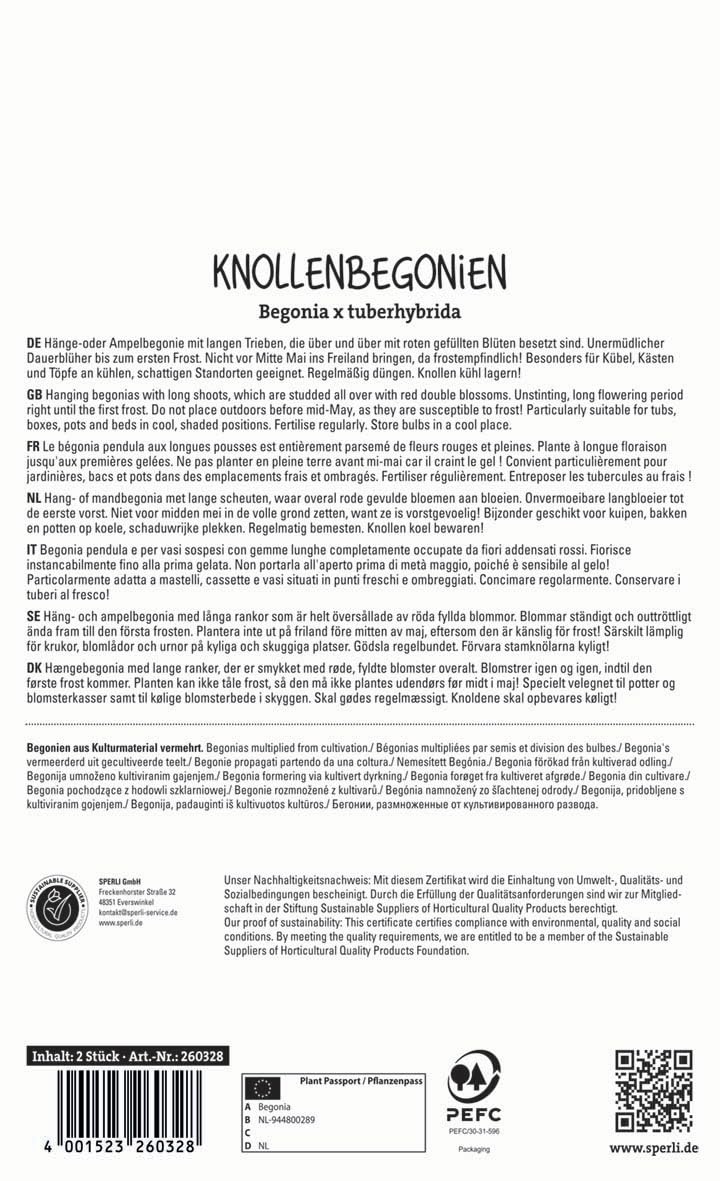 sperli-knollenbegonie-cascade-rot-260328-blumenzwiebeln image 2