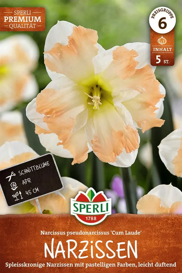 sperli-splei-kronige-narzisse-cum-laude-wei-rosa-schmetterlingsnarzisse-45-cm image 1