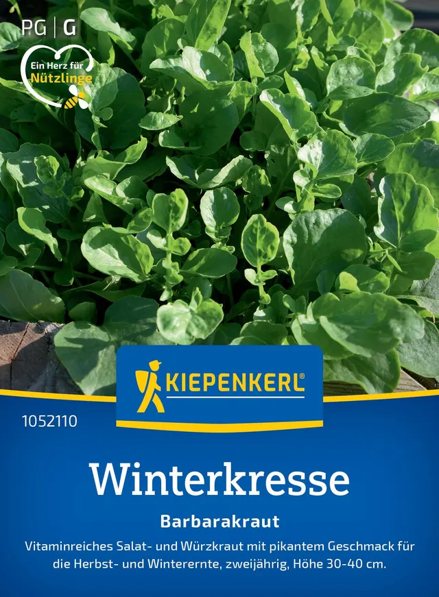 kiepenkerl-profi-line-winterkressesamen-barbarakraut-kr-utersaat image 1
