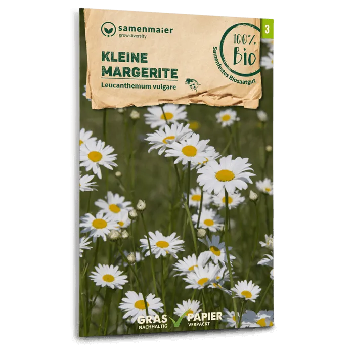 samen-maier-bio-wildblumen-kleine-margerite-samen image 1