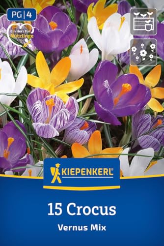 kiepenkerl-gro-blumiger-krokus-mischung-blumenzwiebeln-fr-hbl-her-mehrj-hrig-ver image 8