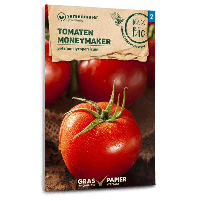 samen-maier-bio-tomaten-moneymaker-saatgut image 1