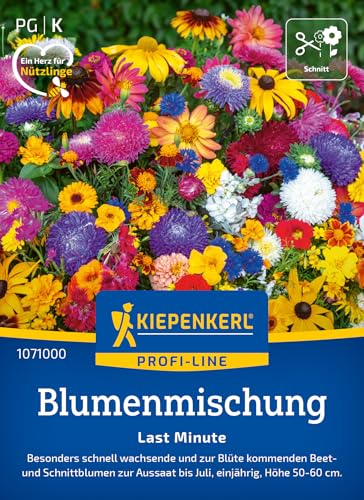 kiepenkerl-sommerblumen-mischung-last-minute-blumensamen image 6