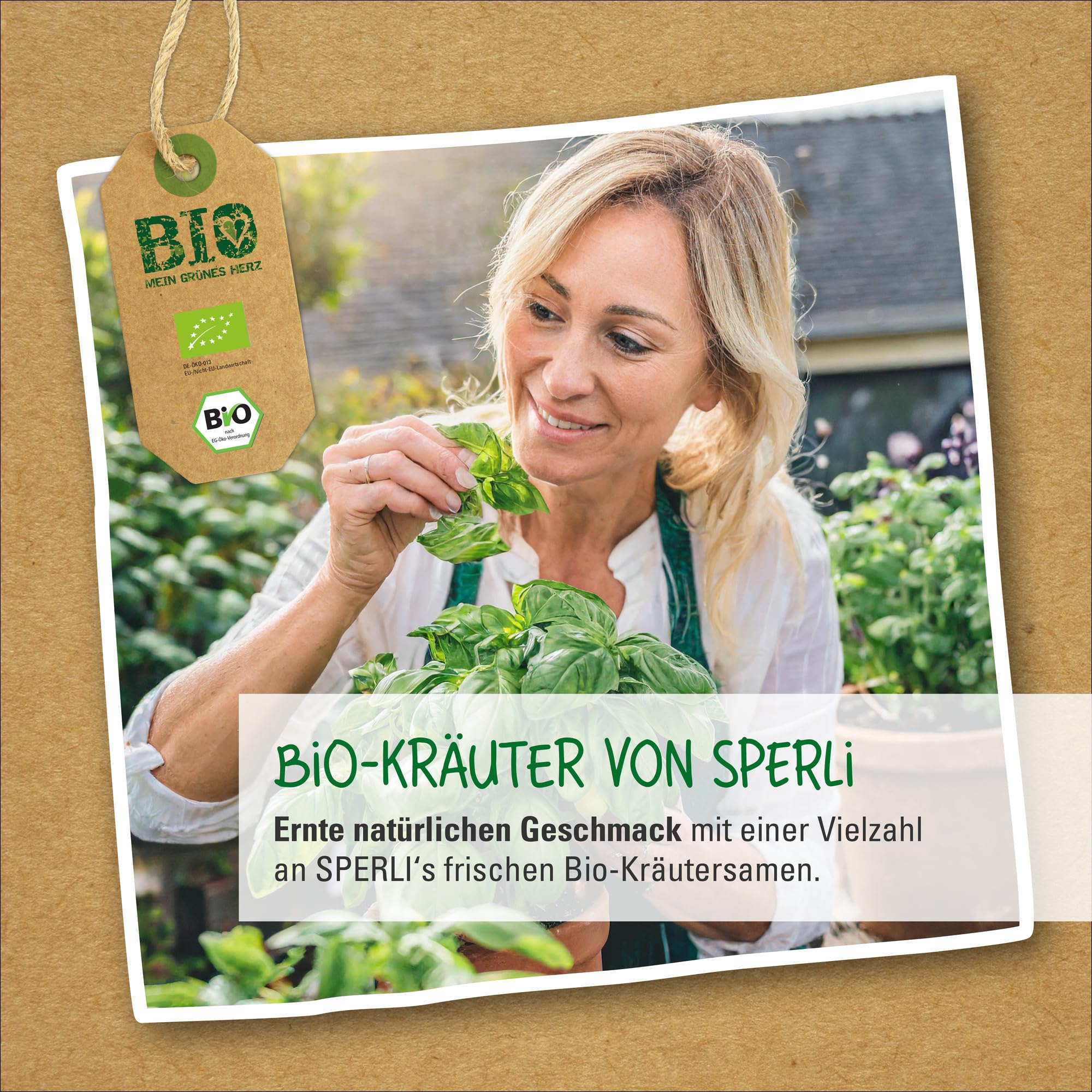 sperli-bio-salbei-84584-kr-utersaat image 3