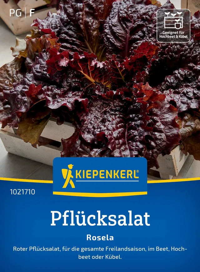 kiepenkerl-pfl-cksalat-rosela-1021710-gem-sesaat image 1