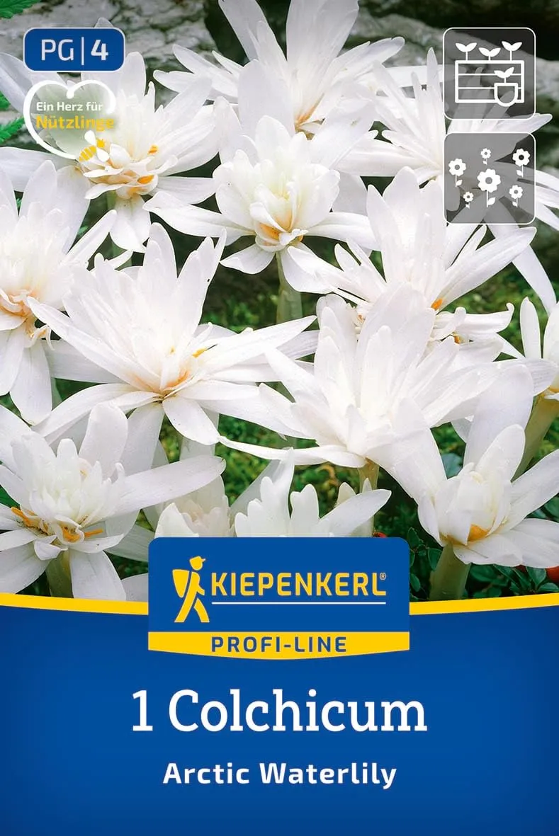 kiepenkerl-profi-line-herbstzeitlose-arctic-waterlily-blumenzwiebeln-gef-llt-wei image 1