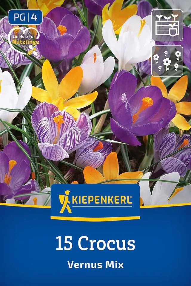 kiepenkerl-gro-blumiger-krokus-mischung-blumenzwiebeln-fr-hbl-her-mehrj-hrig-ver image 1