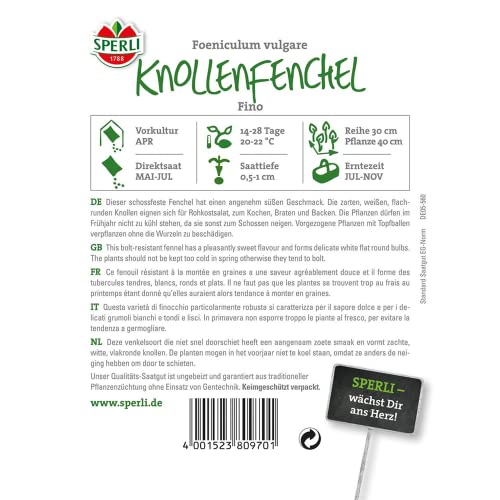 sperli-knollenfenchel-fino-gem-sesamen image 4