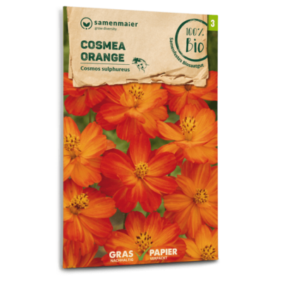samen-maier-bio-cosmea-orange-blumensamen image 3