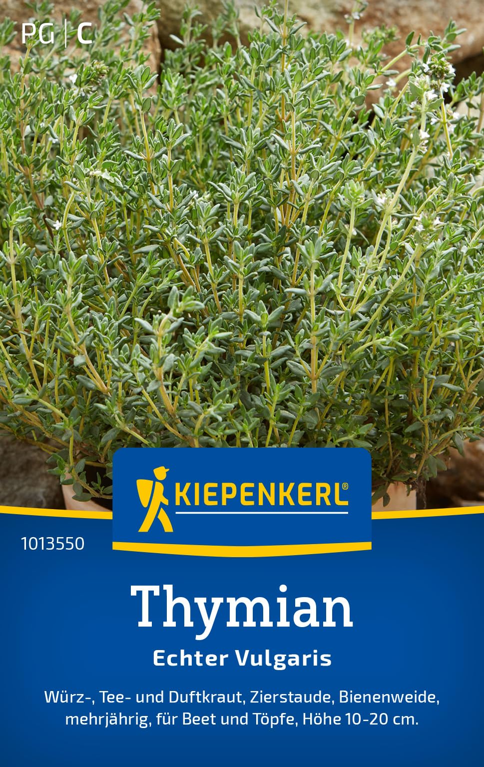 kiepenkerl-gew-rz-fenchel-common-1012450-kr-utersamen image 7