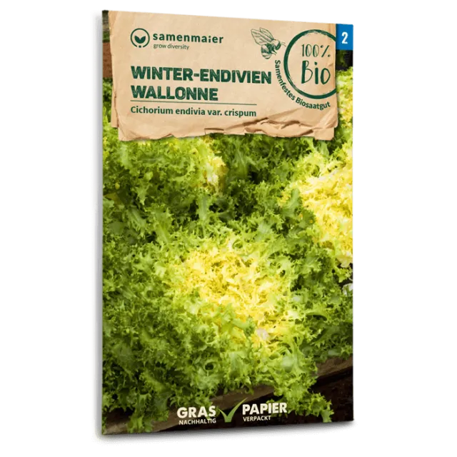 samen-maier-bio-winter-endivien-wallonne-salat-saatgut image 1