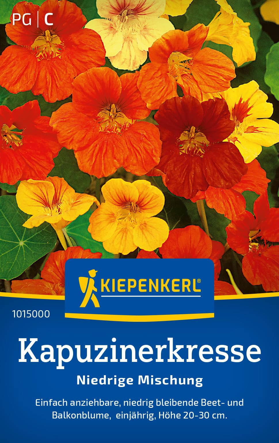 kiepenkerl-sommer-margeritensamen-bunte-wucherblumen-1015900-blumensaat image 8