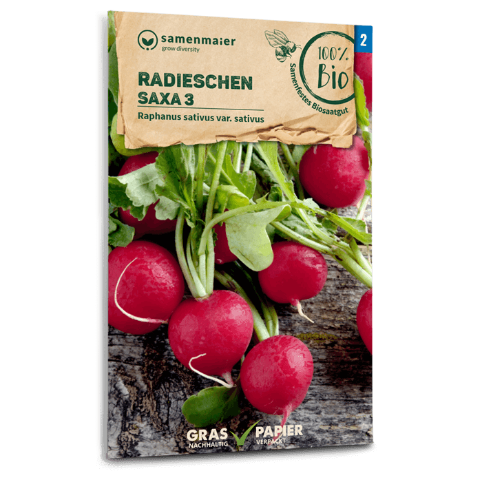 samen-maier-bio-radieschen-saxa-3-saatgut-rund-rot-knackig image 1