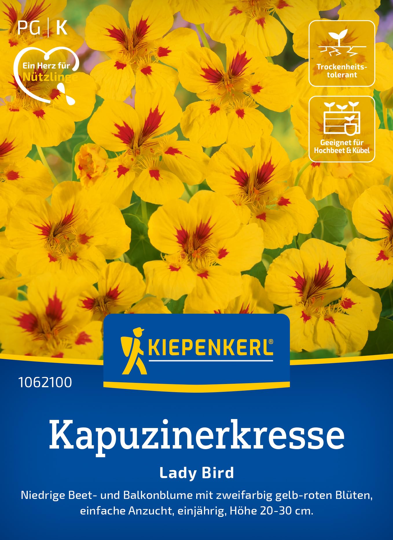 kiepenkerl-kapuzinerkresse-lady-bird-blumensaatgut image 1