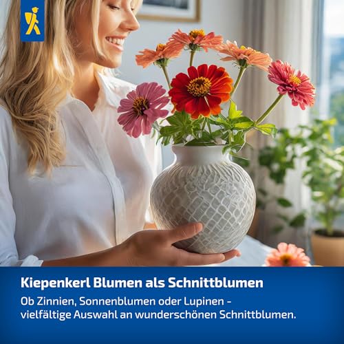 kiepenkerl-mittagsblumensamen-eiskraut-mischung-1015950-sommerblumensaat image 8