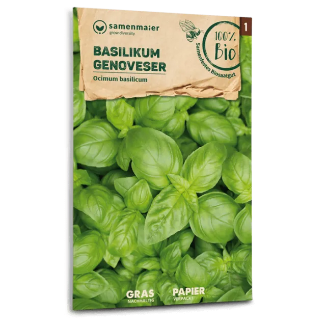 samen-maier-bio-basilikum-genoveser-kr-utersamen image 1