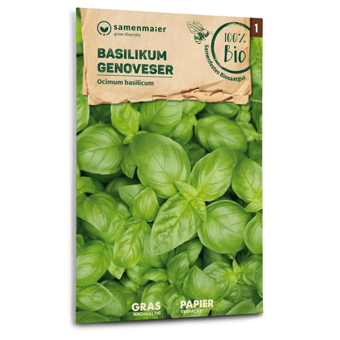 samen-maier-bio-basilikum-genoveser-kr-utersamen image 1